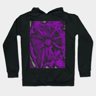 Tarantula Spiderling V49 Hoodie